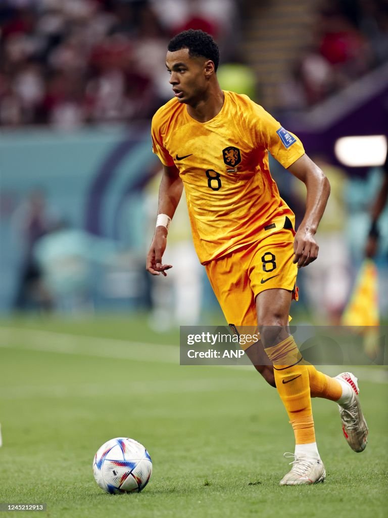 Cody Gakpo Scores For Netherlands