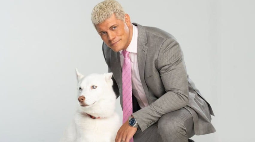 Cody Rhodes and Pharaoh